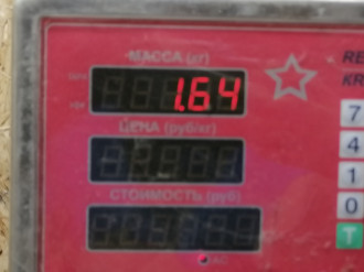 Шкив коленвала Nissan Teana j32