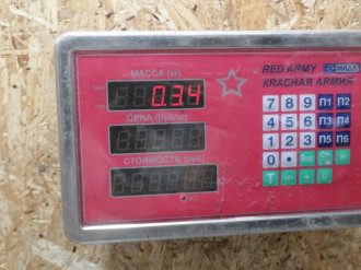 Петля двери задней правой нижняя Nissan Almera N16