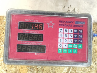 Кронштейн двигателя Nissan Almera N16