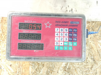 Шкив водяного насоса помпы Nissan Navara d40