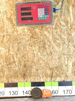 Сигнал звуковой Nissan Avenir 1995