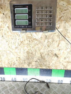 Датчик ABS задний правый Nissan Qashqai 2009