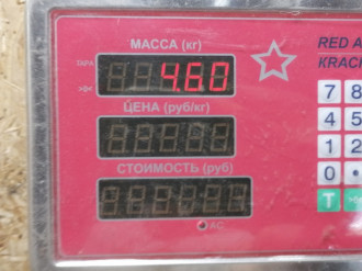 Коллектор впускной Skoda Octavia 2000 2011