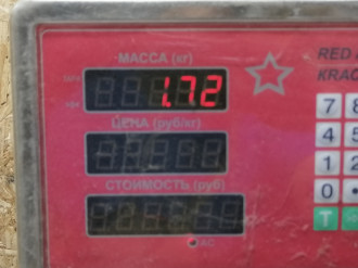 Шкив коленвала Skoda Octavia 2004 2013