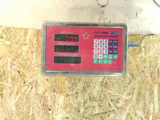 Ремень безопасности задний левый Subaru Forester S11