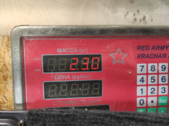 Пол багажника Subaru Forester S11