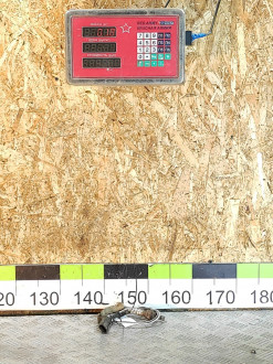 Датчик выпускного коллектора после катализатора Renault Clio 1 1991-1998