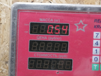 Шкив распредвала Renault Kangoo 1997 2003