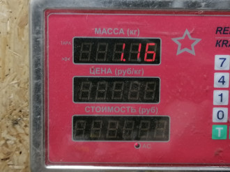 Опора кпп Renault Scenic 2003 2009