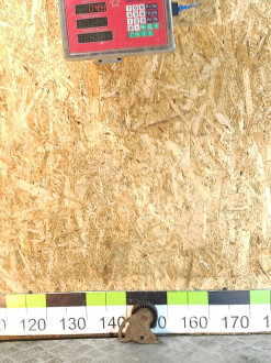 Ролик натяжитель Renault Kangoo 1997 2003