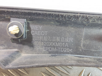 Накладка Tank 300 2021-2026