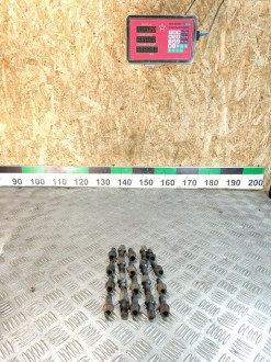 Болт Гайка колесные Volkswagen Bora 1997-2005