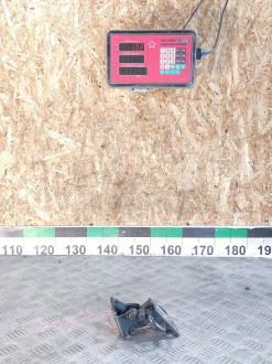 Петля двери задней левой нижняя Volkswagen Bora 1997-2005