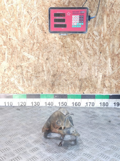 Кронштейн задней балки Volkswagen Bora 1997-2005