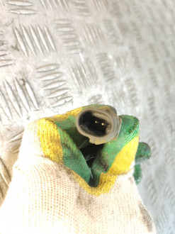 Датчик температуры жидкости Vaz Niva 