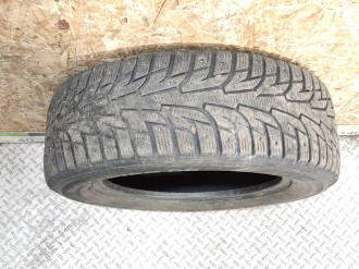 Winter I'Pike RS W419
